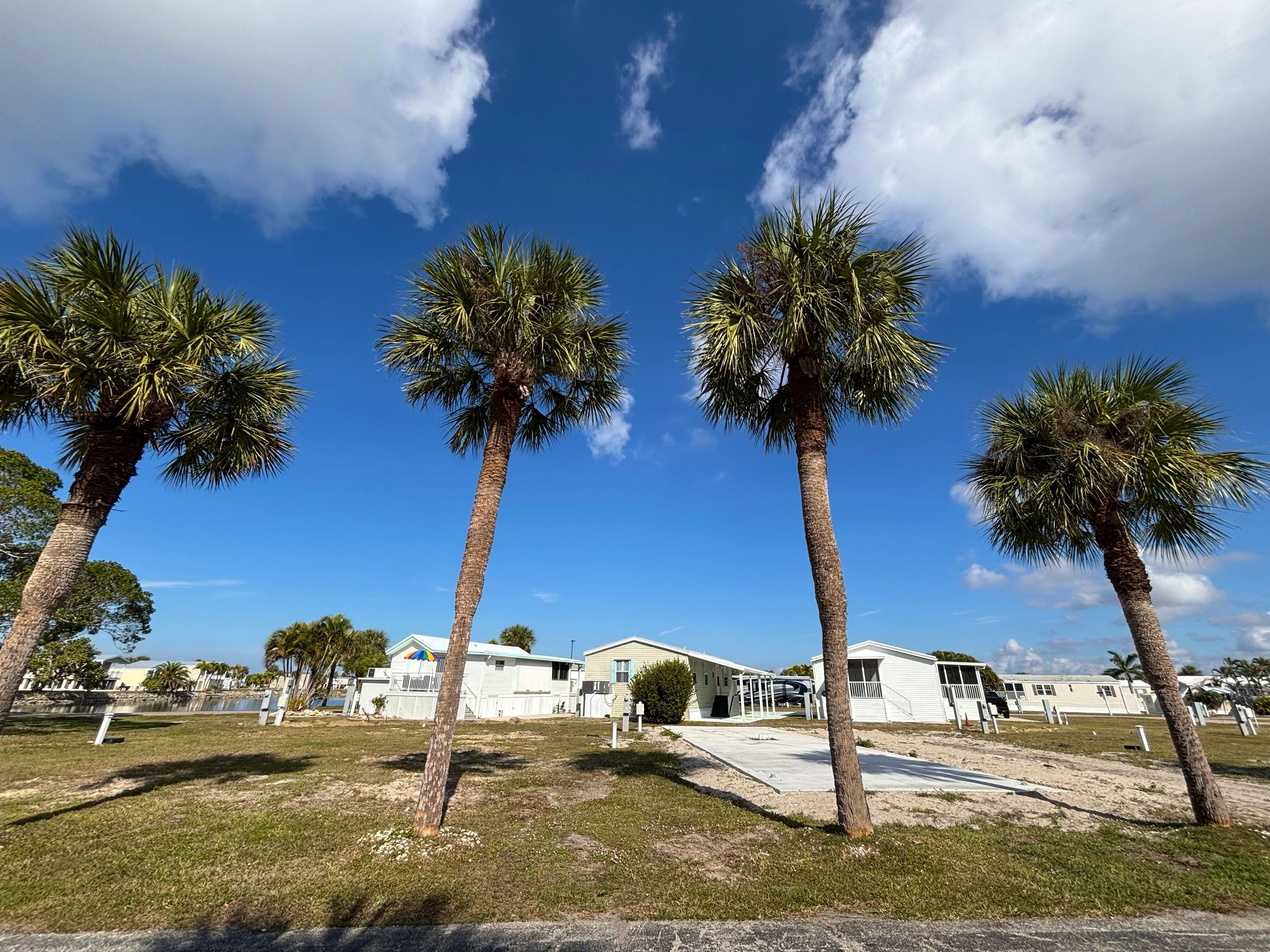 Palm-lined residential street representing Homestead