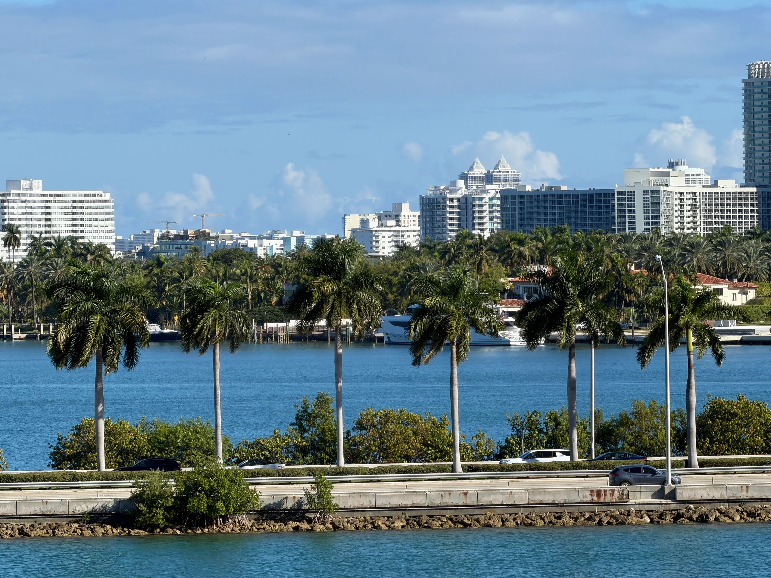 Miami skyline and palm trees for client testimonial